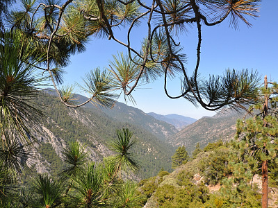 King's Canyon vista 